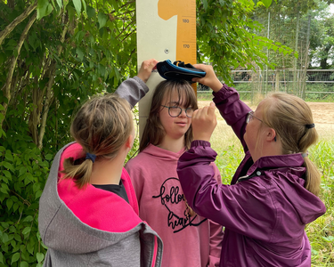 Zwei Personen messen eine dritte Person an einem Schild